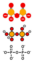 Pyrophosphate (PPi) anion. Important in biochemistry, used as food additive (E450).