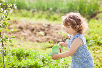 Little girl watering garden bed  