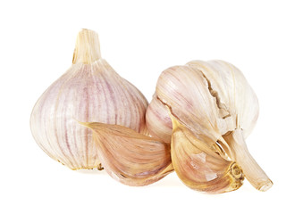 Obraz premium Raw garlic with segment isolated on white background