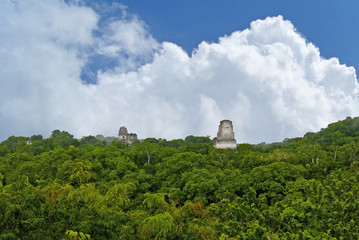 Fototapeta na wymiar View From Temple Tikal