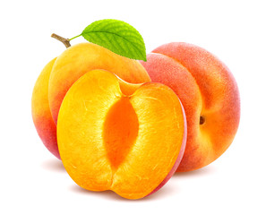 Apricots on white background