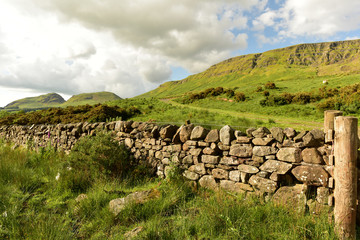 Drystone Dyke with Hills in Background, Summer Scotland UK © David