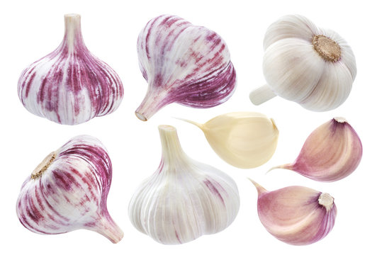 Isolated garlic. Whole garlic, one segment and clove isolated on white background
