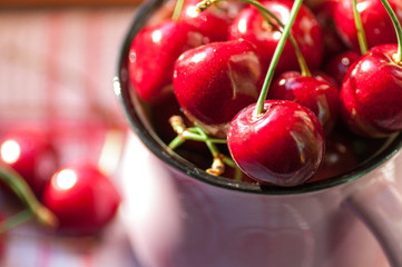Black cherry in a closeup cup
