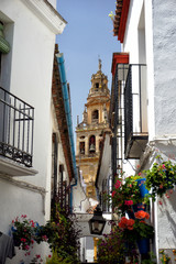 Fototapeta na wymiar Old street in Cordoba