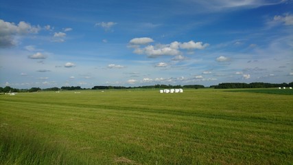 Landscape with cutted meadow and rolls of grass