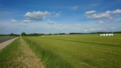 Meadow with white rolls near the street