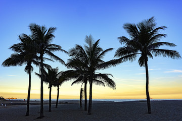 Obraz na płótnie Canvas Sunset at Ipanema beach with coconuts trees in Rio de Janeiro