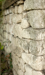 A wall of stones with leaves