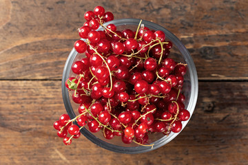 Red currant in a glass plate top view
