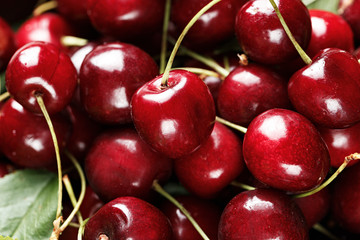 lot of ripe cherries background