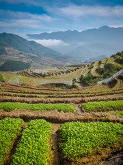 sapa vietnam