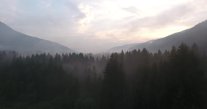Rising above misty forest at sunset.
