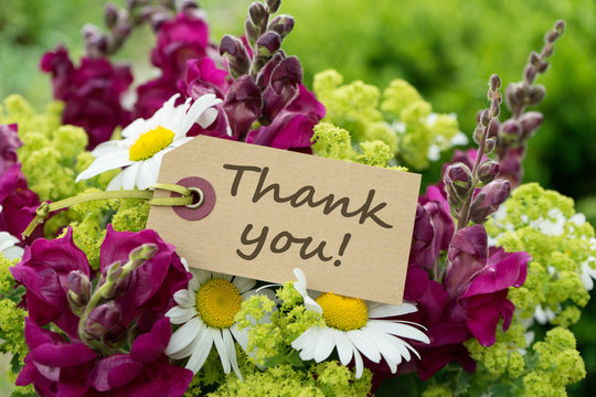Thank you / Greeting card with snapdragons, daisies and text: Thank you 