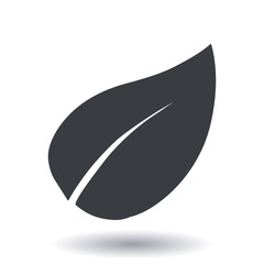 Leaf icon. Fresh natural product. Organic product symbol. Flat design style.