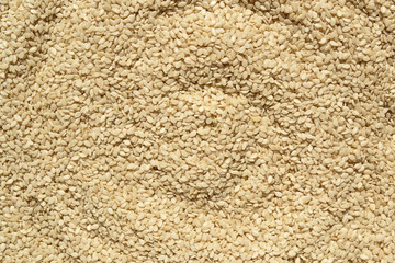 Sesame