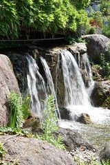 Flusslandschaft mit kleinen Wasserfällen in grüner Natur