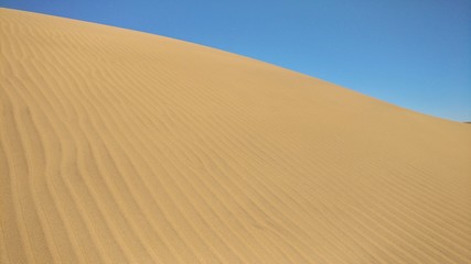Fototapeta na wymiar The great Dunas de Maspalomas. Beautyful sandshifting dunes.