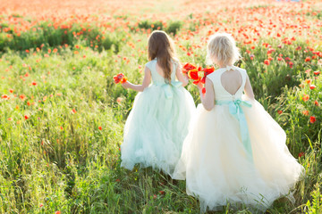 little girl model, fashion concept - two little girls walking in white and blue wedding dress on the background of field with poppies, the model turned their backs and holding a bouquets of poppy