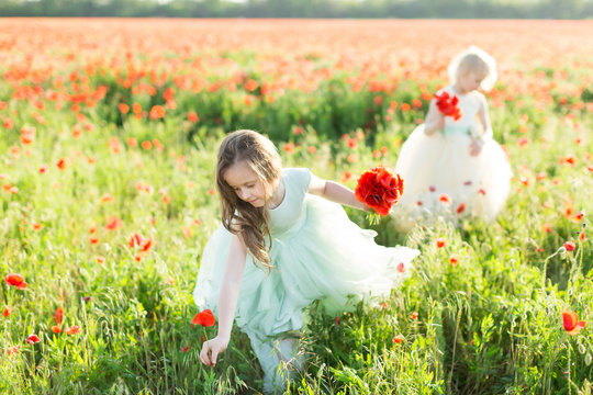 little girl model, childhood, fashion, summer concept - country walk in meadow of flowers two fabulous girls princesses in hands fresh poppies, they are dressed in beautiful white and blue dresses