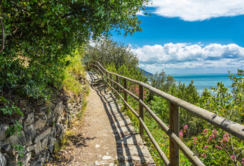 Fototapeta na wymiar a view from the azure path (the path of Love), passing through the Cinque Terre park to Monterosso al Mare, Vernazza, Corniglia, Manarola and Riomaggiore