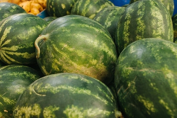 Many watermelons on the farm market. Local production, harvest.