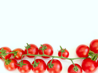 Solanum lycopersicum isolated on the white