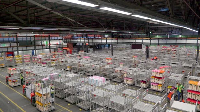 1185_Inside_look_of_the_huge_warehouse_in_Aalsmeer.mov