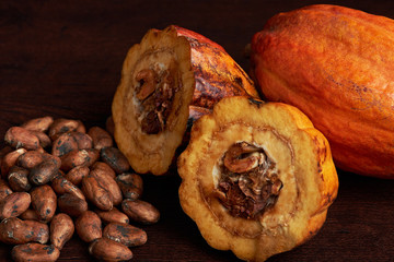Close-up of cacao seeds