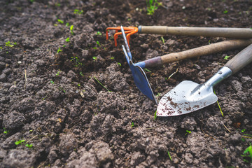 Scapula and rake on the background of fertile soil. Place for the text. The concept of agriculture. Metal garden tools