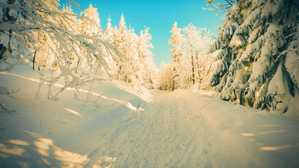 Winter landscape with blue sky. Snail icing on trees. Beautiful winter landscape.