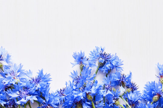 Fototapeta blue cornflowers over white
