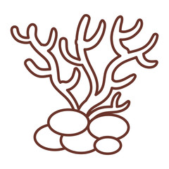 Marine coral isolated icon vector illustration design