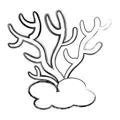 Fototapeta premium Marine coral isolated icon vector illustration design