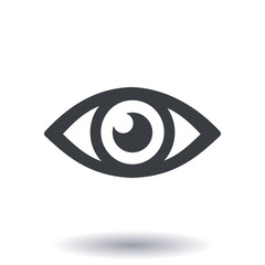 Eye icon. Monitoring and surveillance system. Flat design style.
