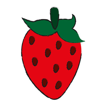 strawberry  fruit icon image