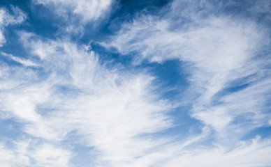 Sky and clouds summer panorama