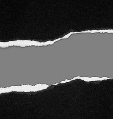 Ripped paper