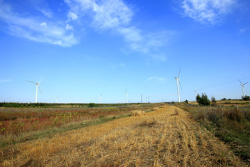 Autumn terraces and wind turbines