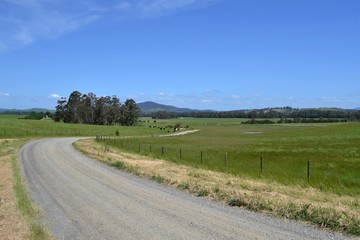 Fototapeta na wymiar The dirt road in a farm, Victoria, Australia.