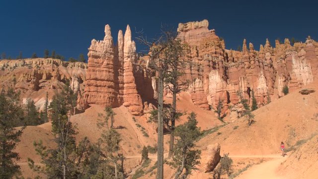 Unrecognizable woman hiker walking down the switchback path exploring majestic hoodoo formations in Bryce Canyon National Park in sunny Utah. Young woman tourist hiking zigzag trail in Bryce Canyon