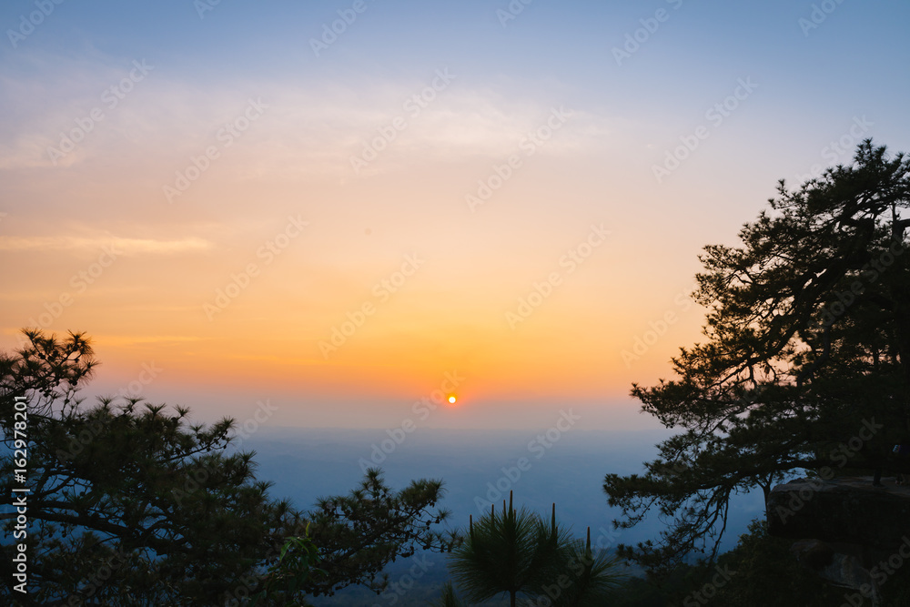 Wall mural the silhouette of pine tree with sunset scene in phu kradung national park, thailand.