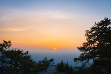 The silhouette of pine tree with sunset scene in Phu Kradung National park, Thailand.