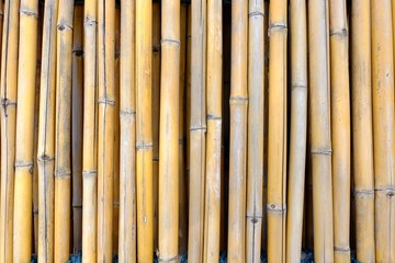Naklejka premium Close up Bamboo Fence Background.