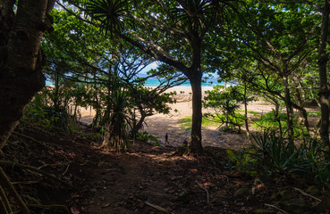 Path to Secret Beach (Kauapea), Kauai, Hawaii