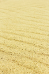 Sand Texture./ Sand Texture. 
