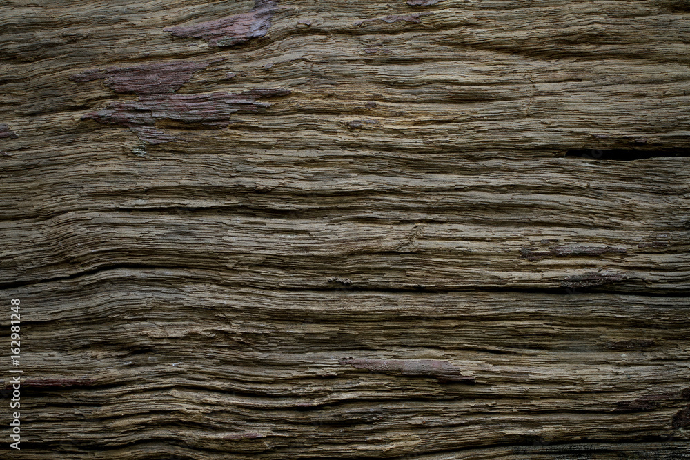 Canvas Prints old wood texture background