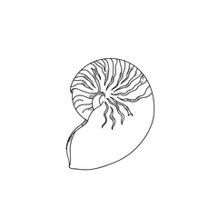 Shellfish hand drawn sketch  illustrations of engraved line
