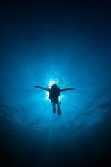 Silhouette diver sunrays  behind at Underwater blue background in sea,Thailand