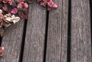 full frame shot of wood board with flowers,texture background.